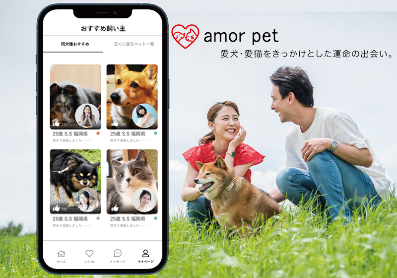 動物好きの交流サービス amor petの記事情報