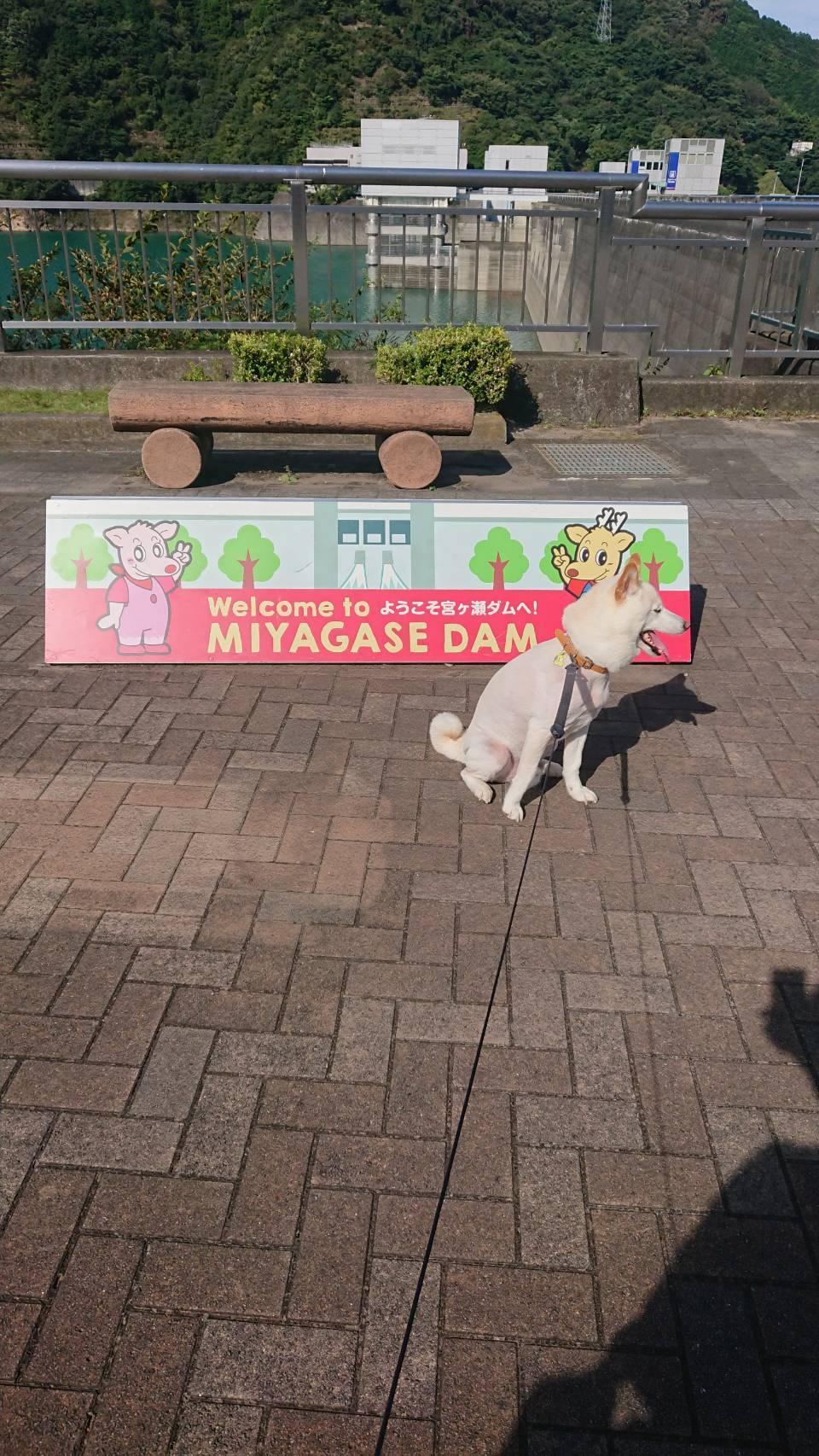 宮ケ瀬ダムに行ってきました④