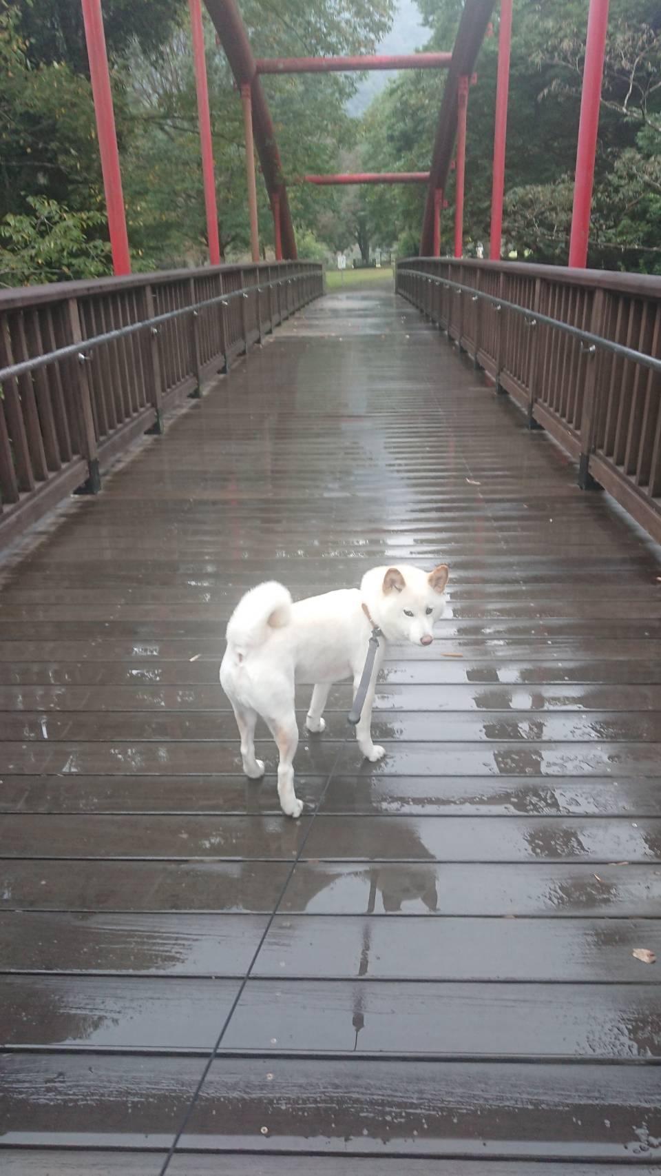 県立あいかわ公園に行ってきました③