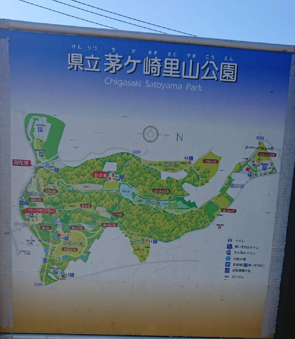 県立茅ヶ崎里山公園に行ってきました①