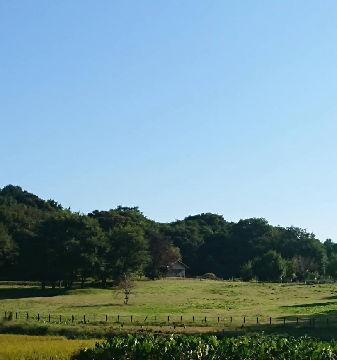 県立茅ヶ崎里山公園に行ってきました③