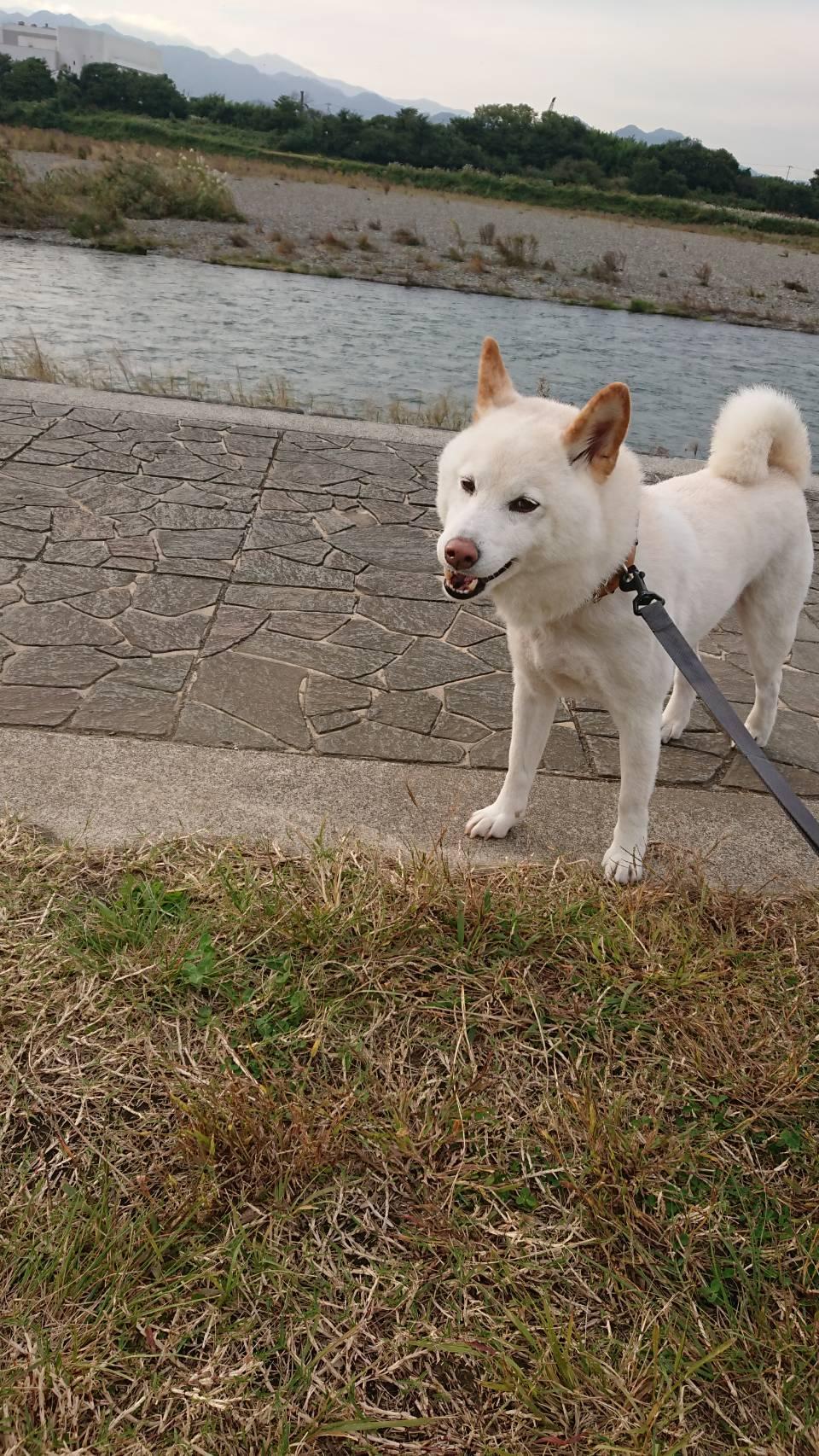 神奈川県立相模三川公園に行ってきました②