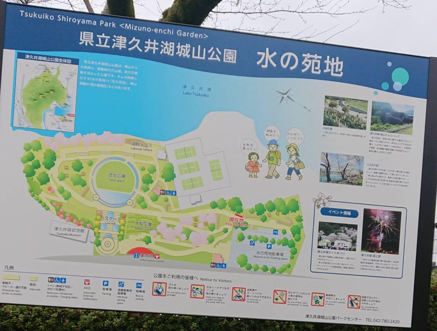 神奈川県立津久井湖城山公園水の苑地に行ってきました