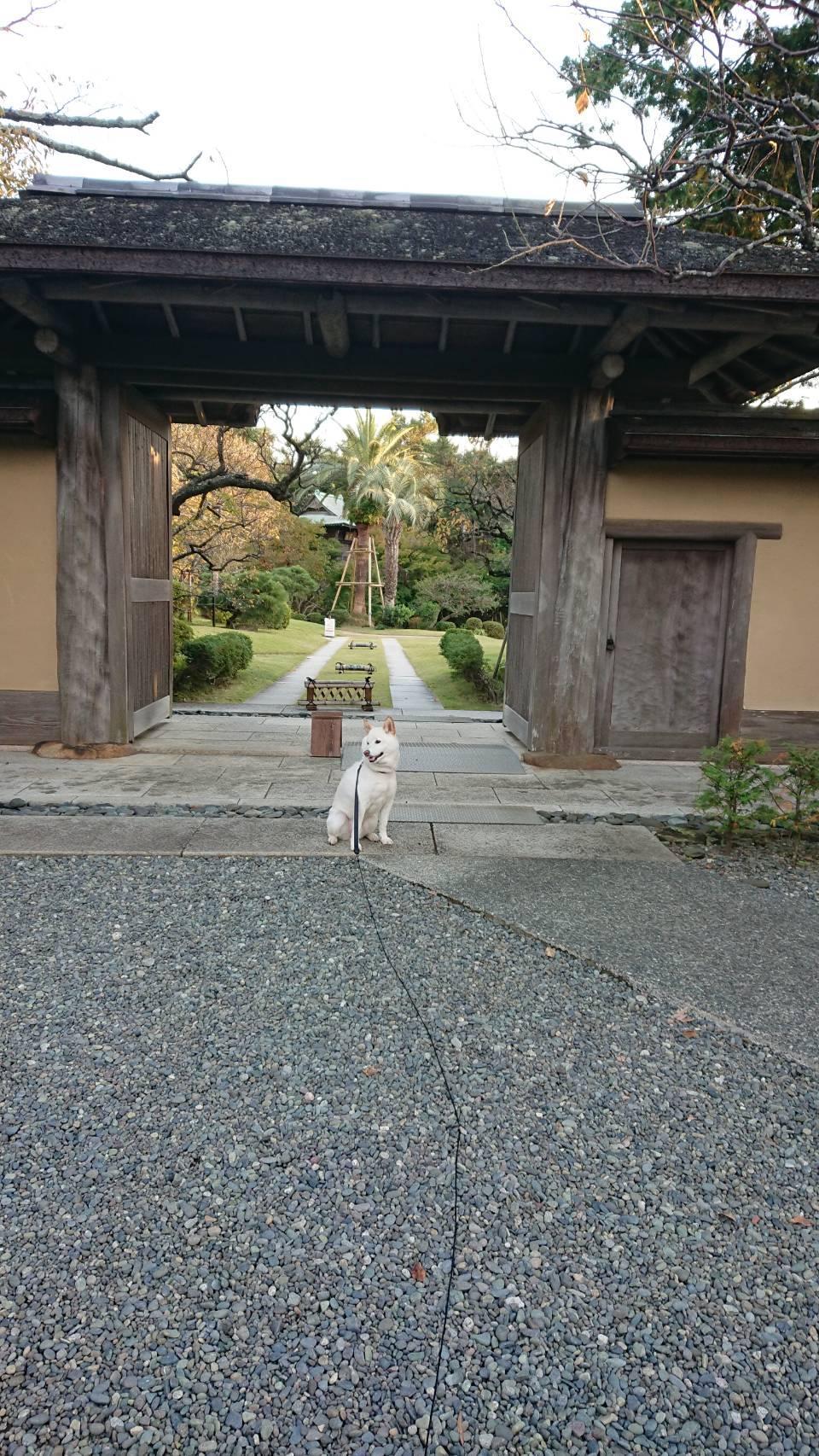 旧吉田茂邸に行ってきました①