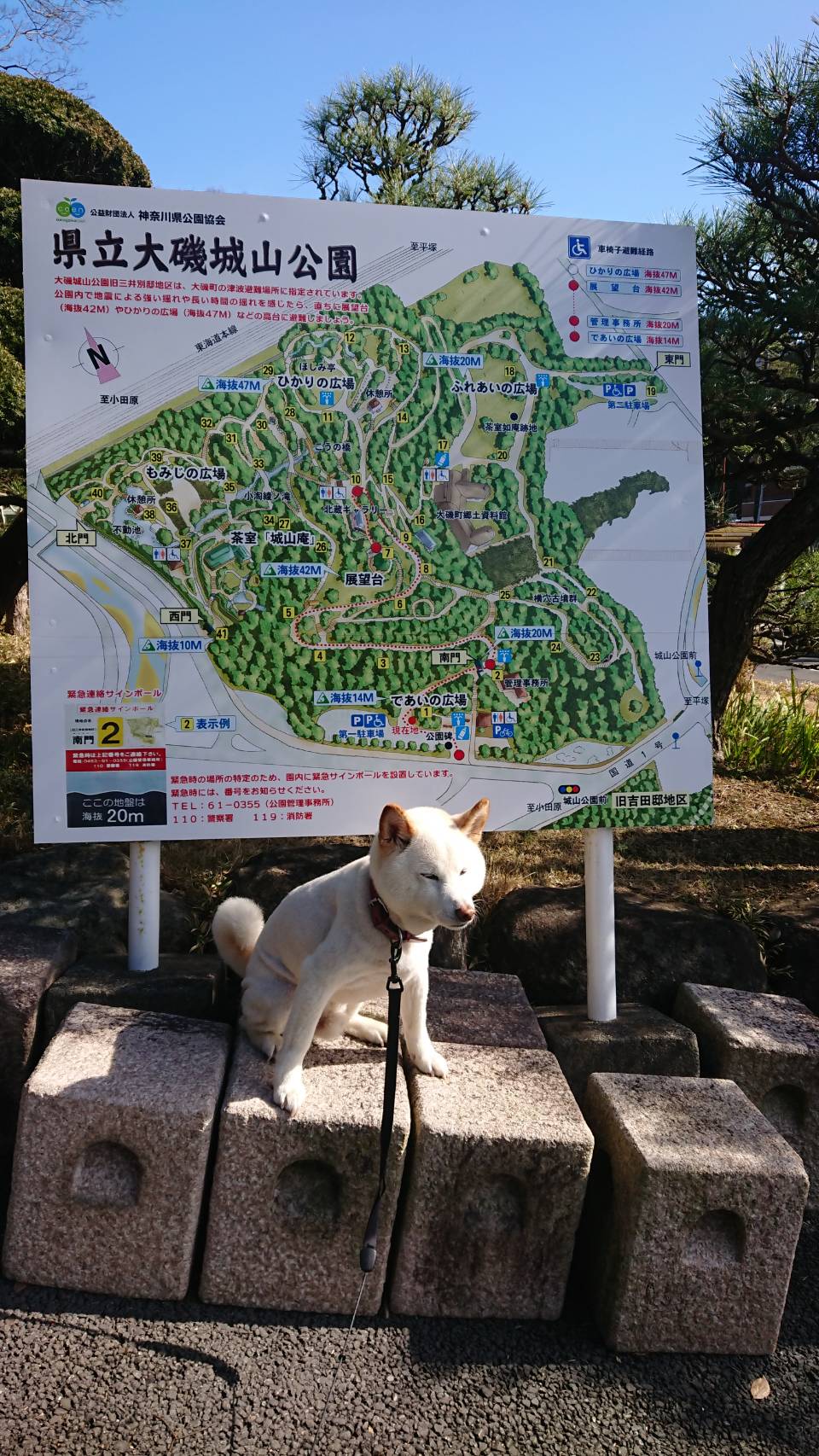 大磯城山公園に行ってきました。①
