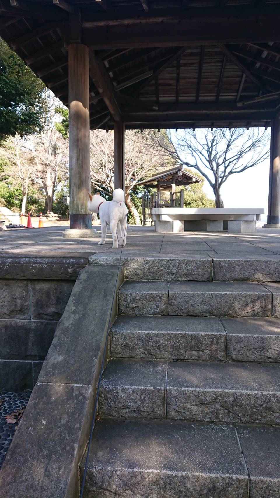 大磯城山公園に行ってきました。②