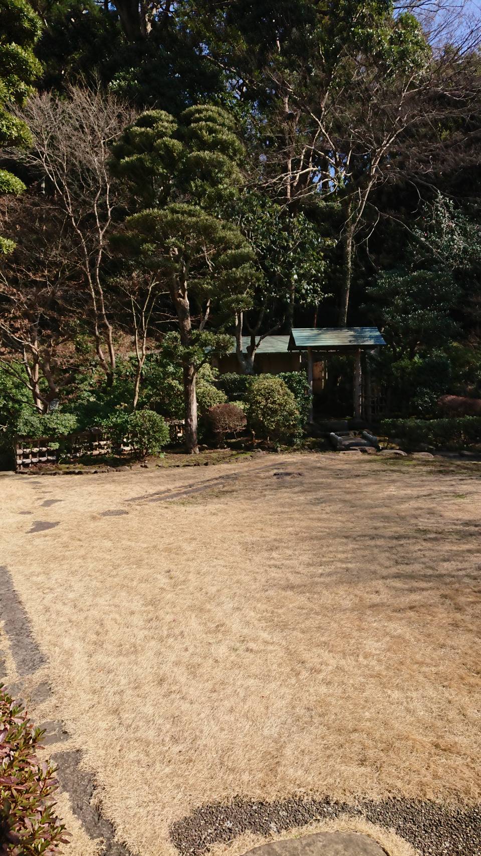 大磯城山公園に行ってきました。③