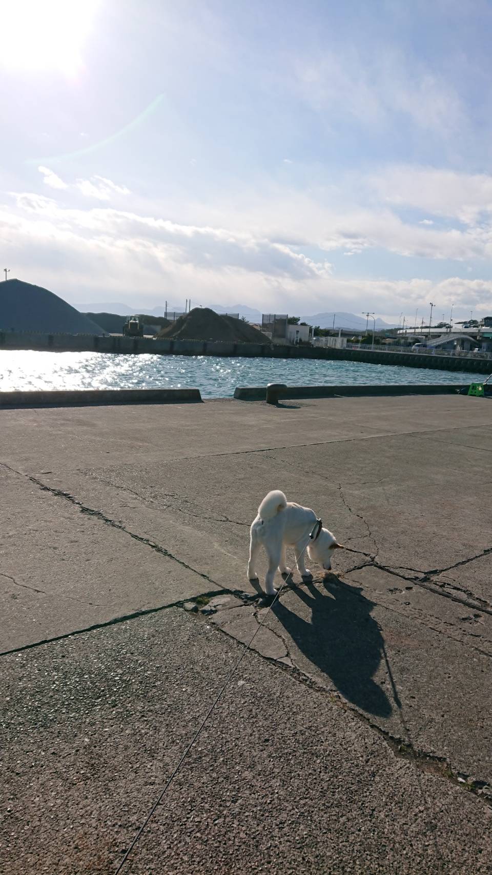 大磯コネクトに行ってきました。②