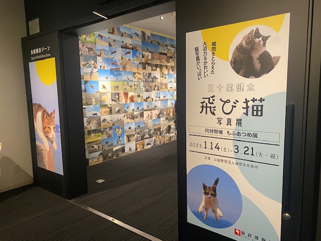 五十嵐健太さんの飛び猫写真展に行ってきました！の記事情報