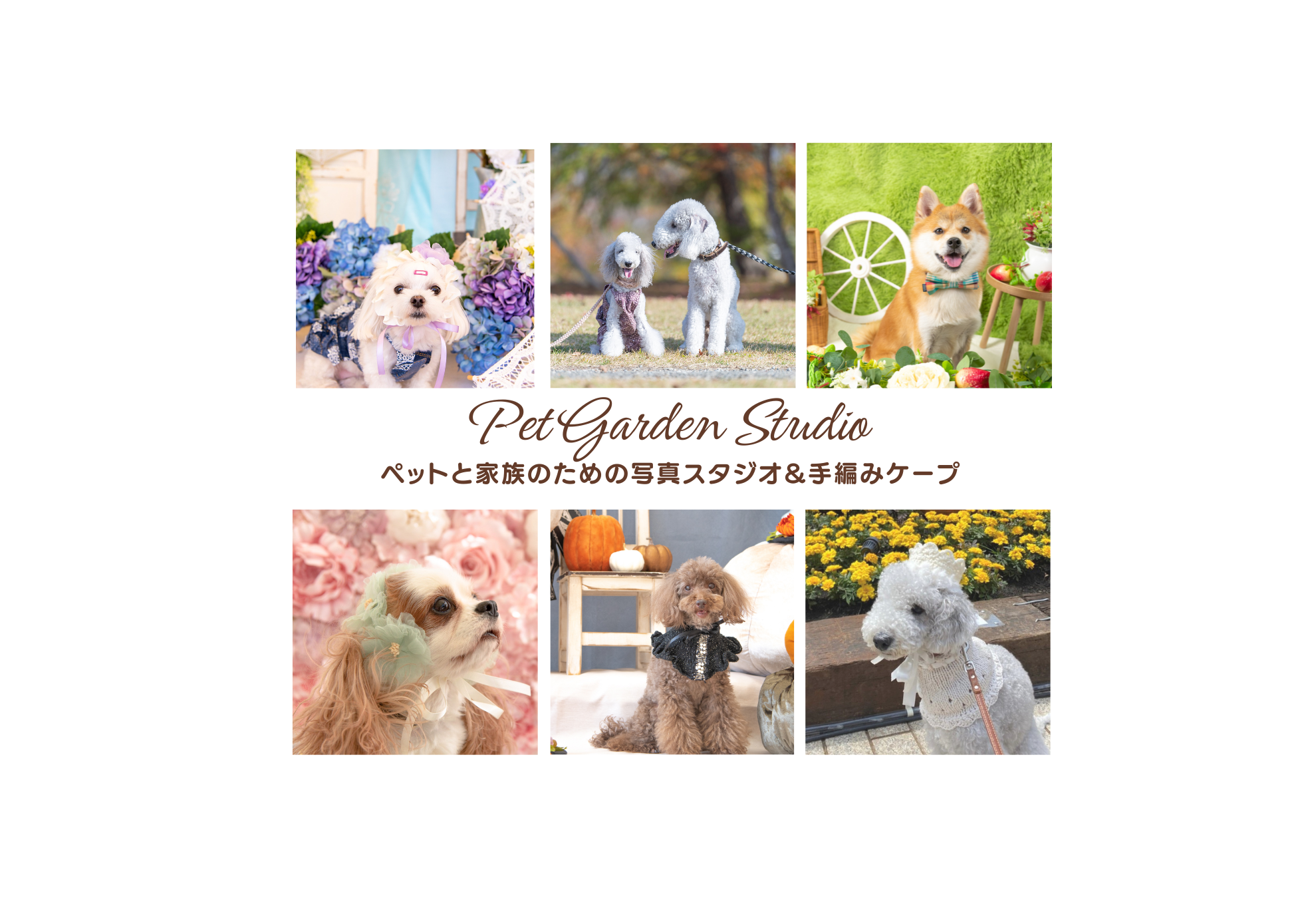 Pet Garden Studio Atelier Cuddly