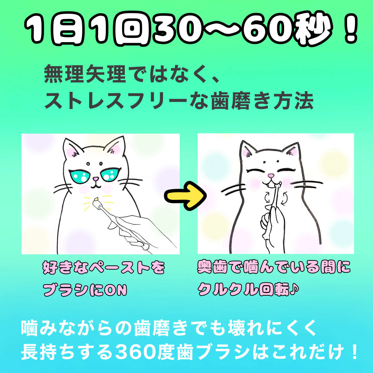 ショップ ペット自慢ん 猫 歯磨き