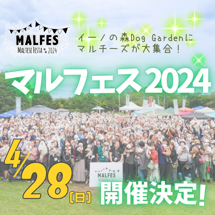 マルフェス 2024 – Maltese Festa 2024 –（東京）