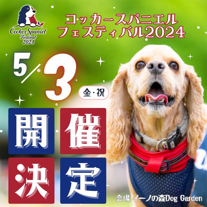 コッカースパニエルフェスティバル 2024（東京）
