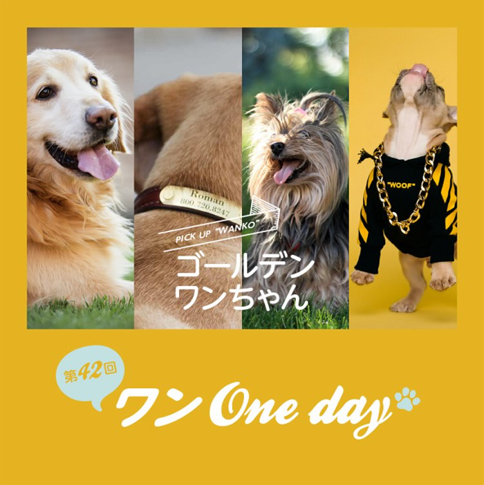 第42回 ワン One day！ 湘南T-SITE（神奈川）