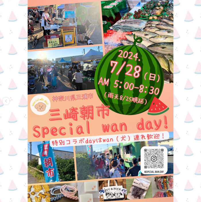 三崎朝市 Special wan day!（神奈川）の記事情報