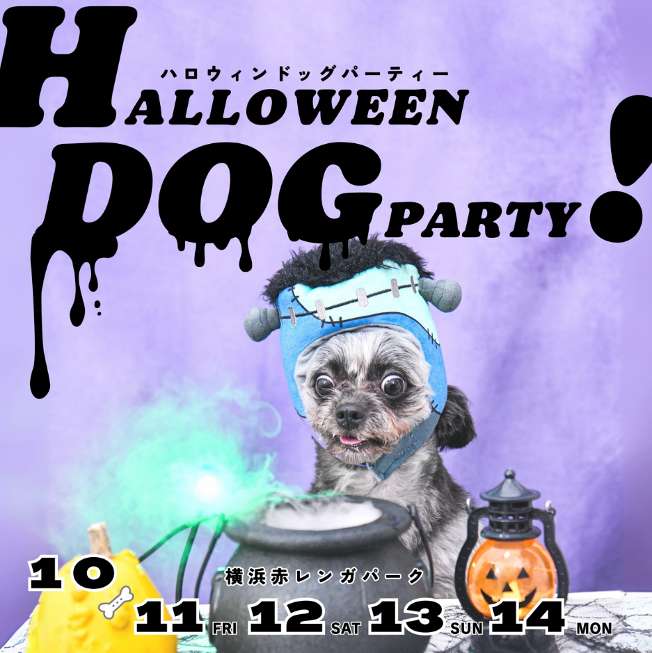 10月12日（土）～14日（月・祝）W出展イベント出展「HALLOWEEN DOG PARTY! 2024」「わんにゃんスマイルフェス2024・秋」　開催報告