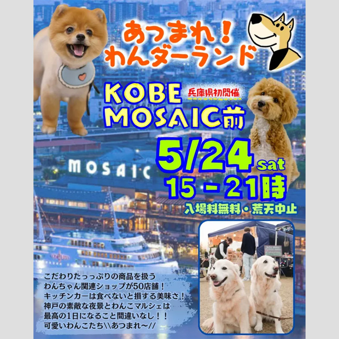 あつまれ！わんダーランド in KOBE MOSAIC前（兵庫）