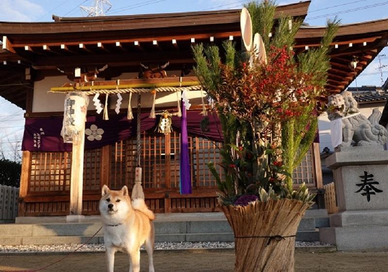 新宿 花園神社ペット同伴 安い