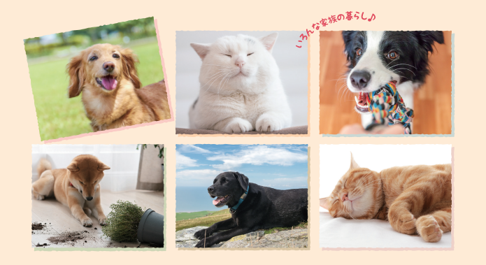 わくわくペットライフマニュアル　ー成犬・成猫編ー