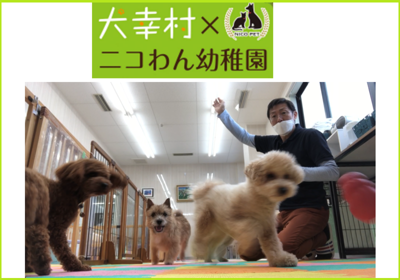 犬幸村～けんこうむら～