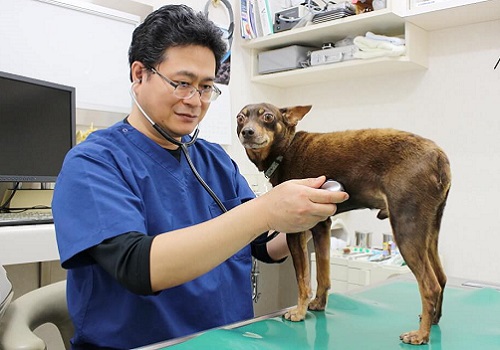いすみ動物病院　田中院長コラム 3