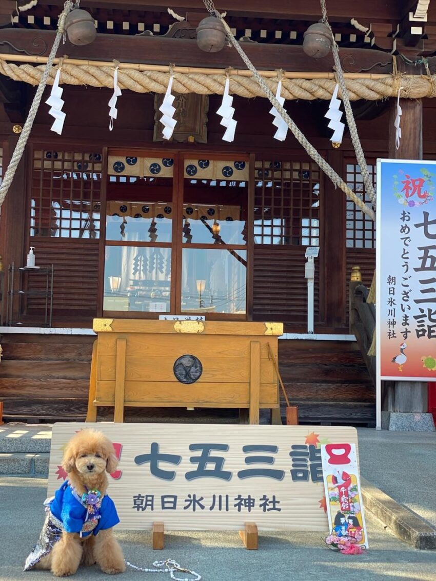 ワンちゃん | 種別 | わんにゃんスマイル