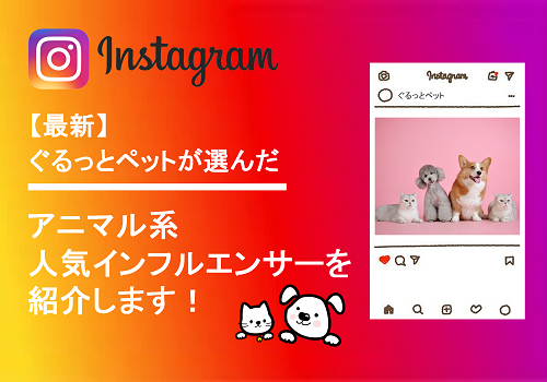 Instagram アニマル系人気インフルエンサー