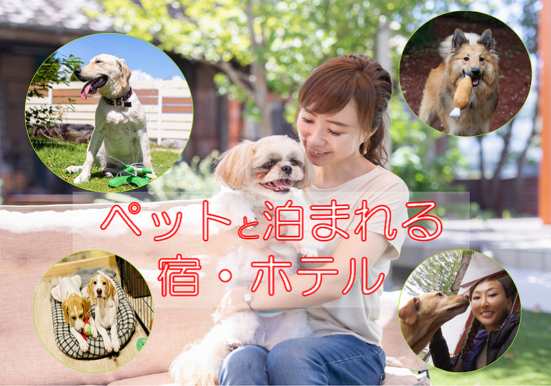 全国のペットと泊まれるお宿