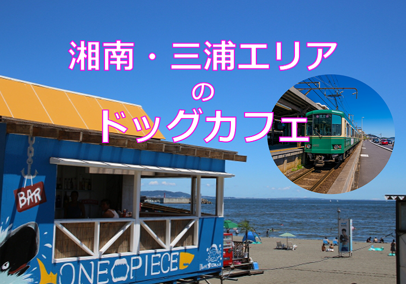 湘南・三浦エリアのドッグカフェ