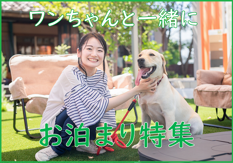 ペットと泊まれる宿