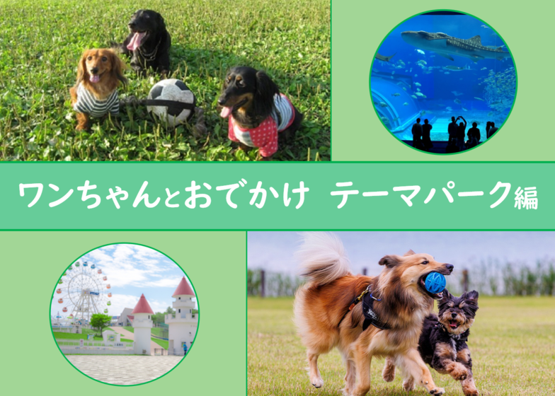 ワンちゃんとおでかけ　テーマパーク編