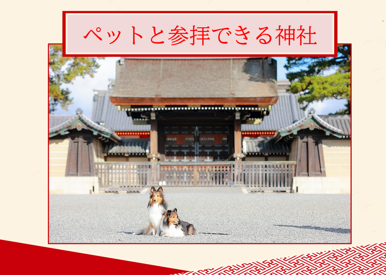 ペットと参拝できる神社仏閣