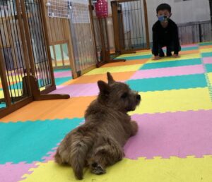 生後１歳までの驚くべき成長速度