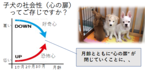 社会性（心の扉）に関わる好奇心と恐怖心