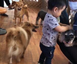②飼い主は犬に寄り添うパートナー