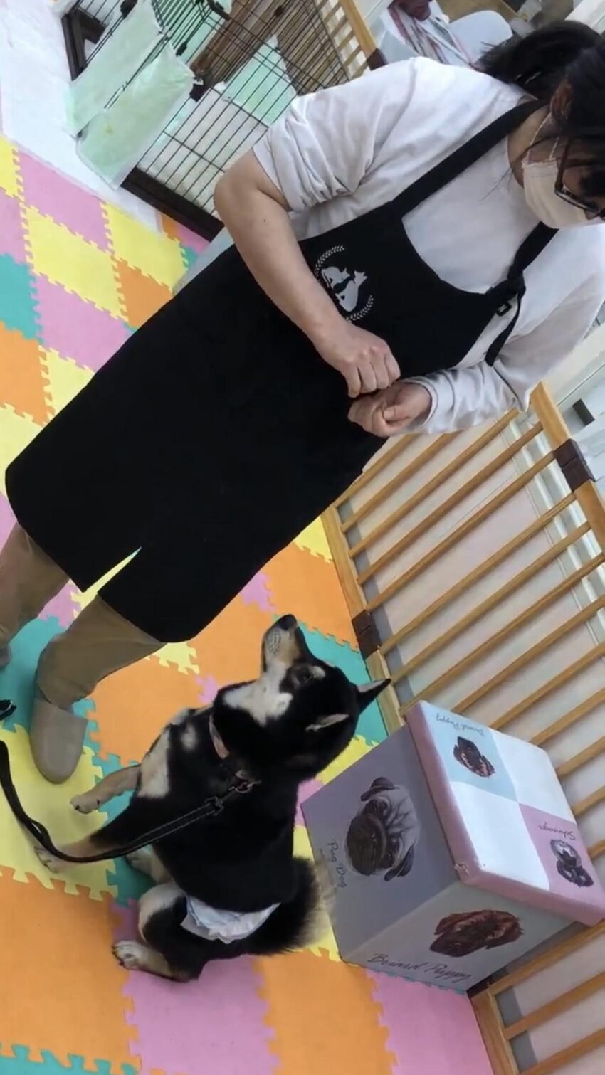 “吠える”を軽減する解決策　その１