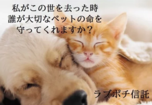 ペットは人の心と身体に元気を与えてくれます！！