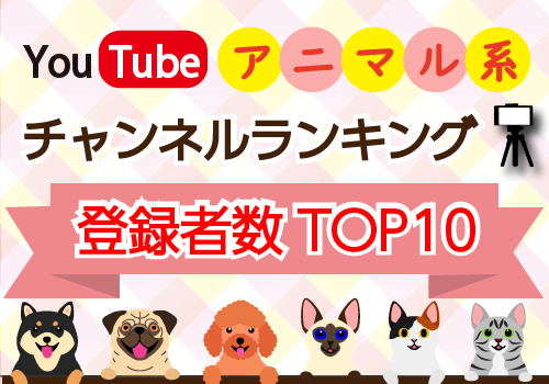 Youtubeアニマルランキング