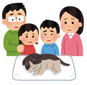 ペットと法律のお話し②
