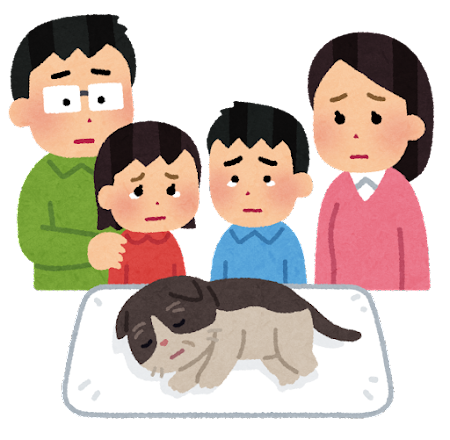 ペットと法律のお話し②