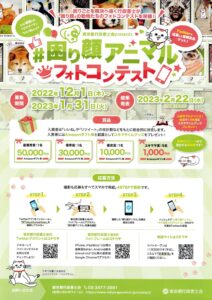 困り顔フォトコンテスト