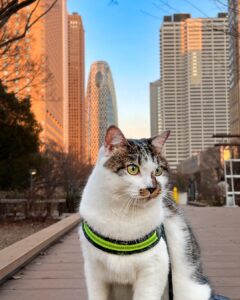 Today we enjoyed a walk in Tokyo Shinjuku Central Park. It i...
