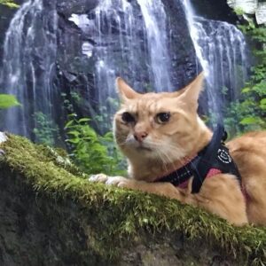 Fudo Falls, located in Nagawa-machi