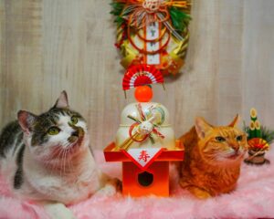 We would like to extend the best wishes from our family to yours!