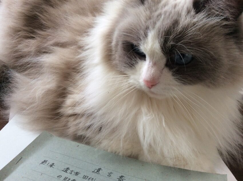 HAL行政書士事務所 1