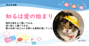 ウランちゃんのお言葉集【７月のお言葉】