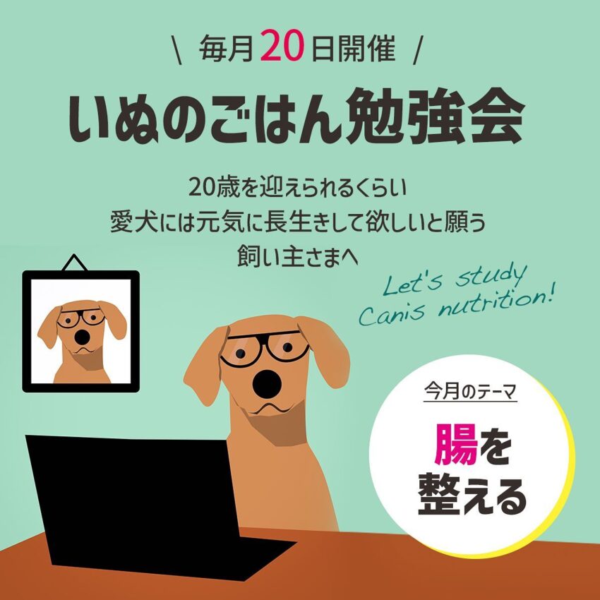 のすけ庵 2