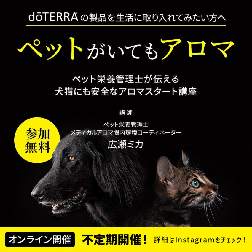 のすけ庵 3