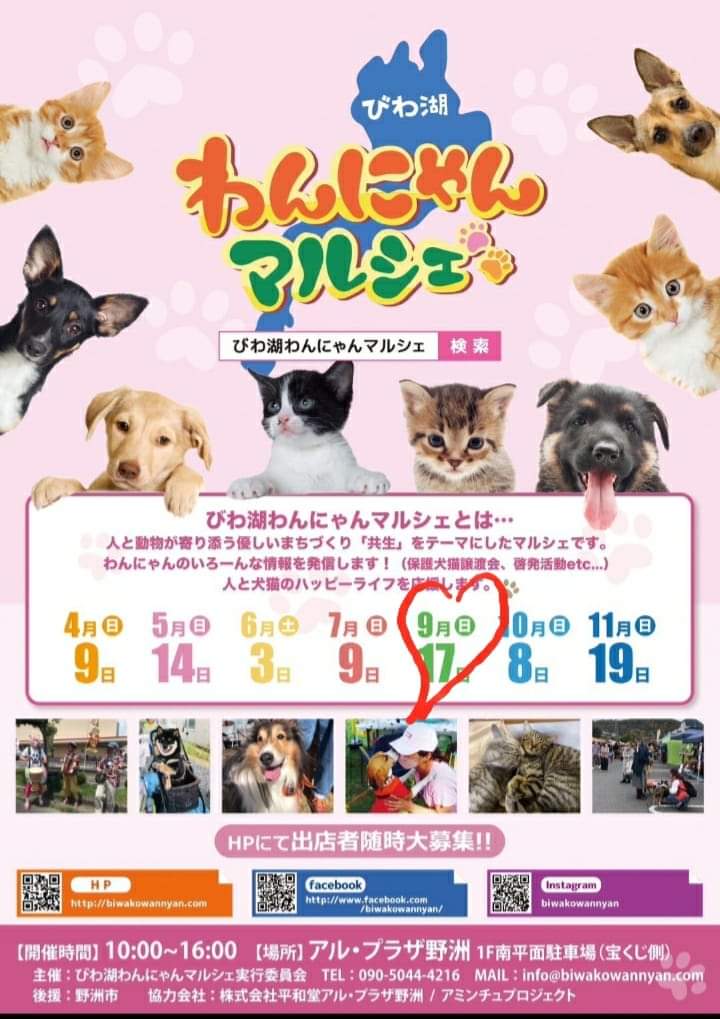 ワンちゃん | 種別 | わんにゃんスマイル