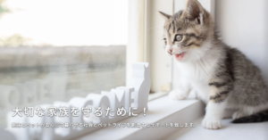 高齢者は新たにペットを飼育しにくい ?